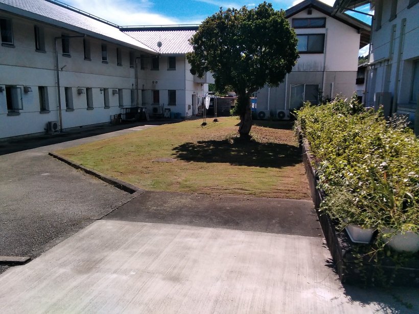 建物と木と草刈り後の芝生