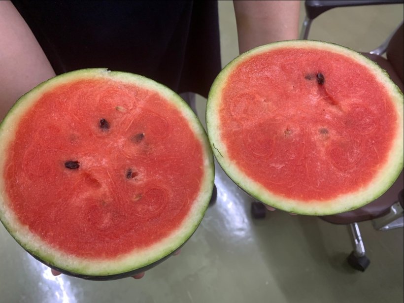 半分に割ったスイカ