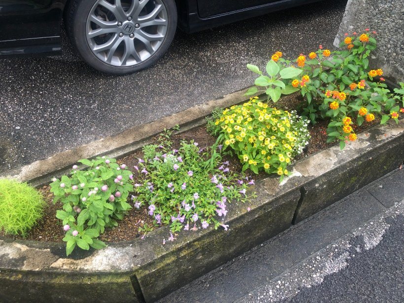 駐車場入り口の花壇
