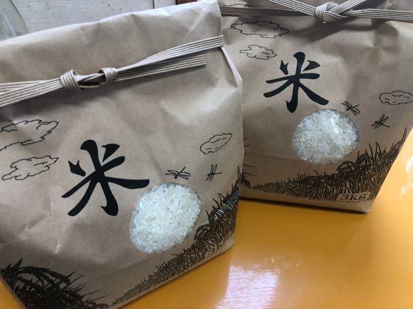 いの南小学校から頂いたお米