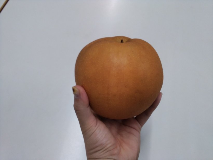 手に持った新高梨