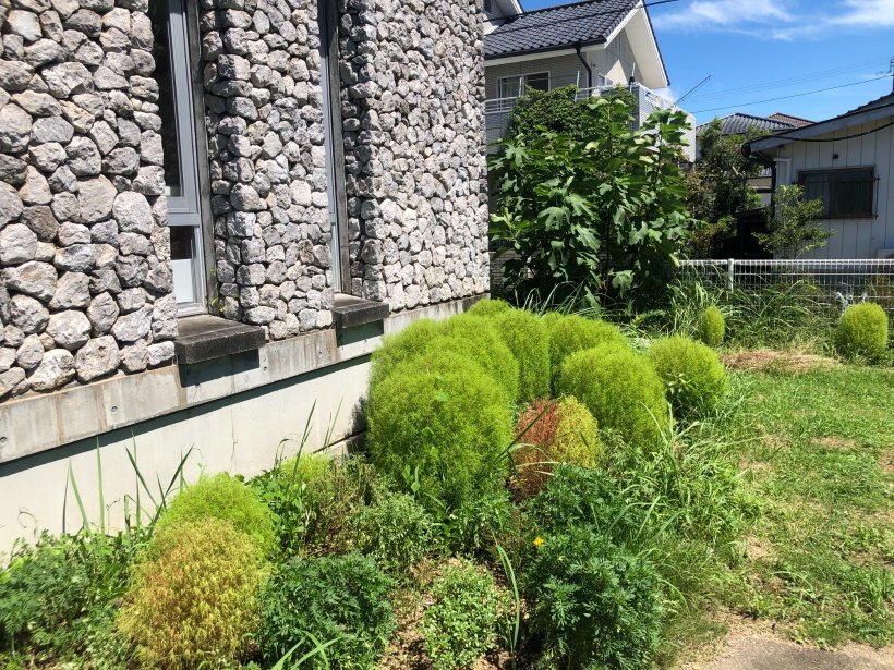 施設の前の花壇