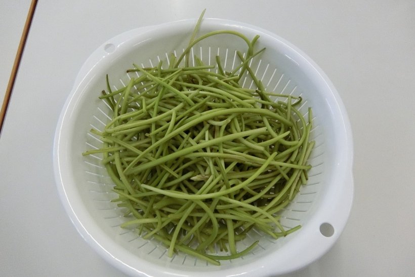 ボウルに入った芋の茎