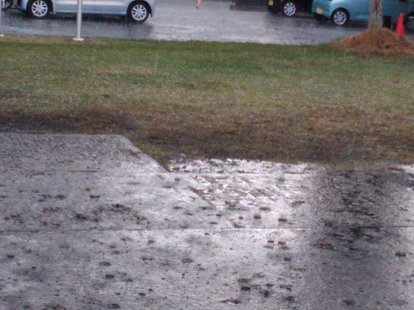 ひょうが降っている芝生