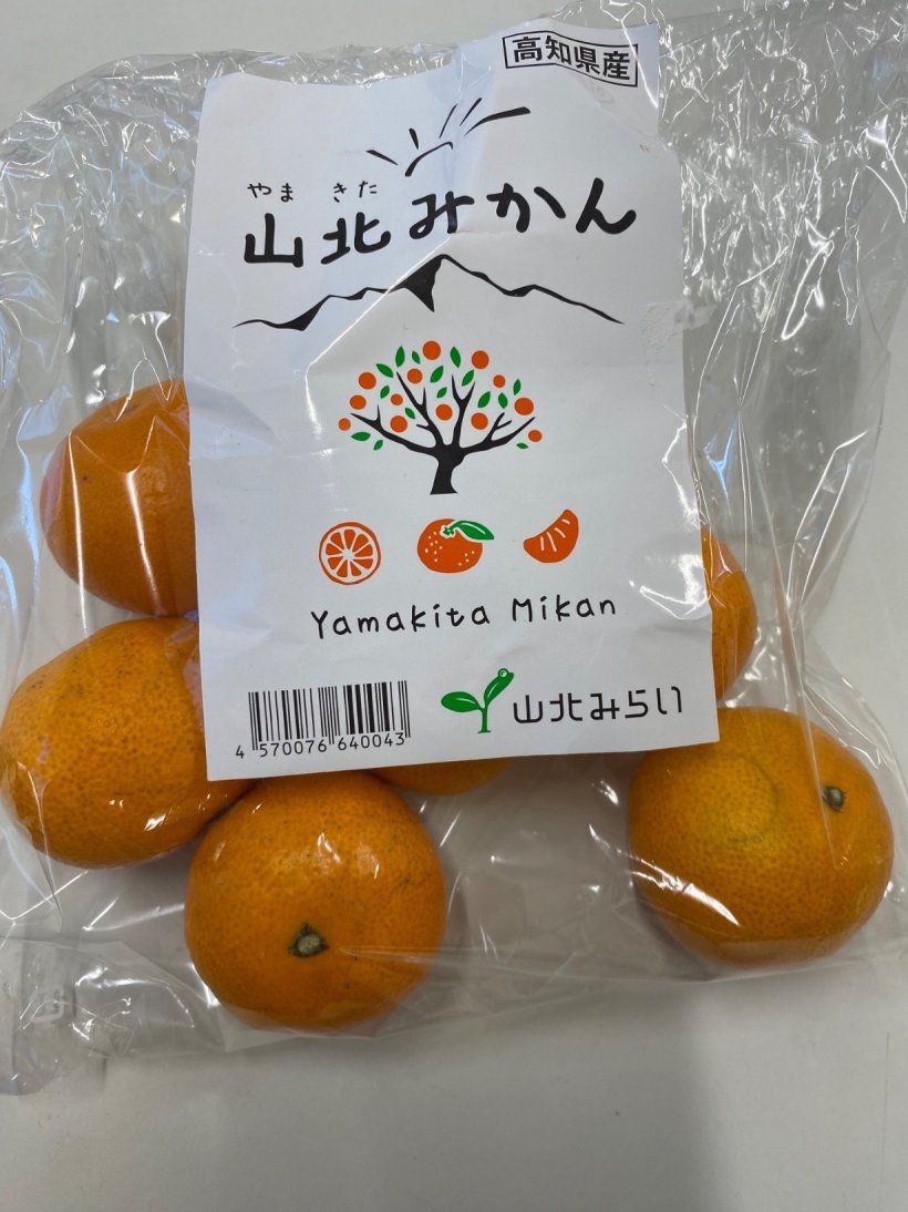 袋に入った山北みかん