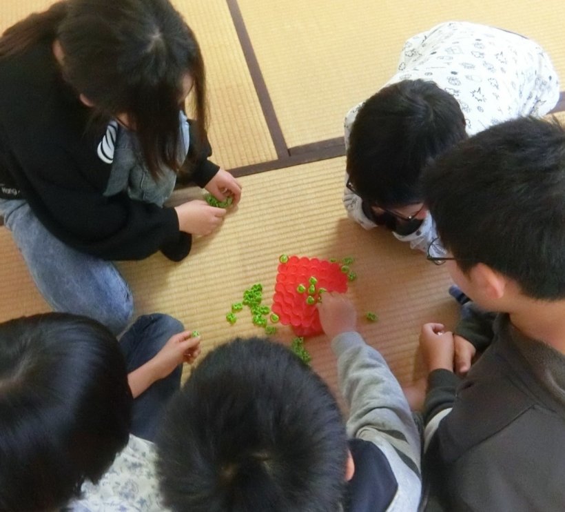 赤い板に蛙を置いてバランスゲーム中