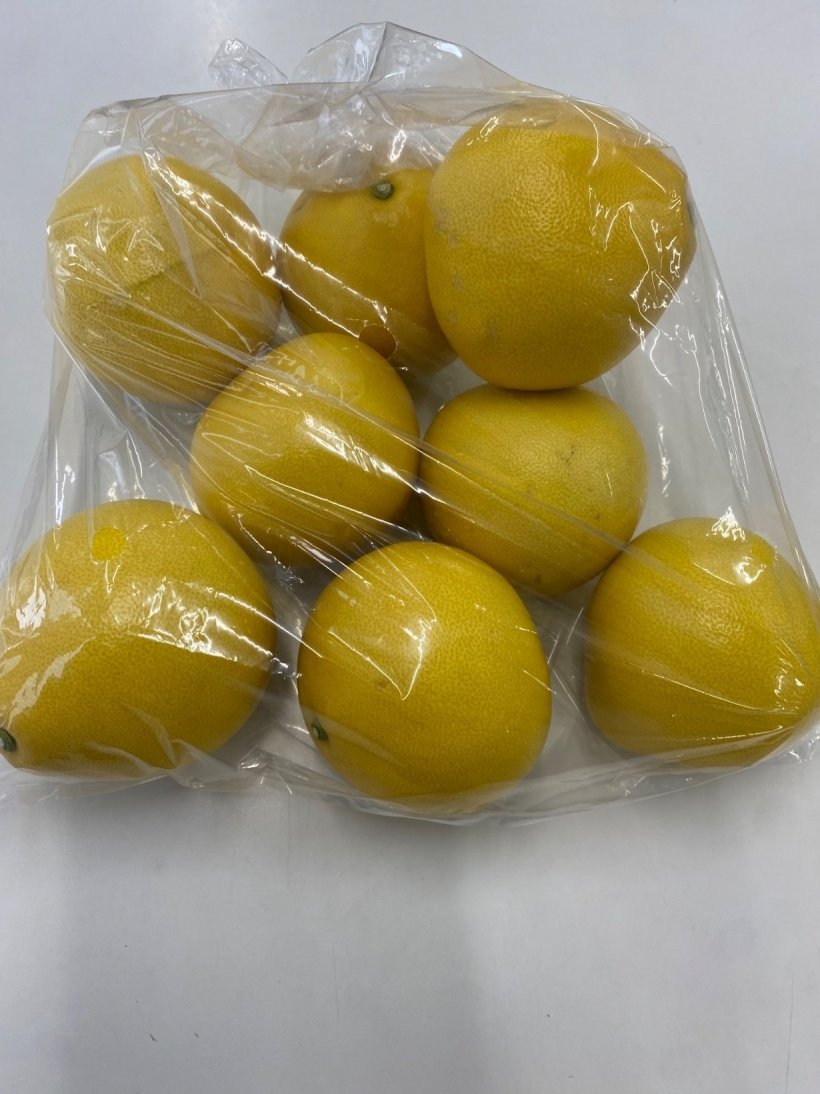 袋に入った文旦