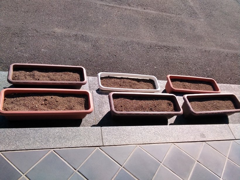 土の入った6つのプランター