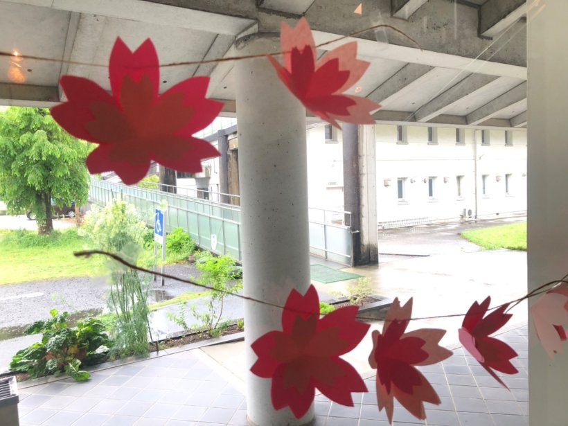 施設の桜の飾り