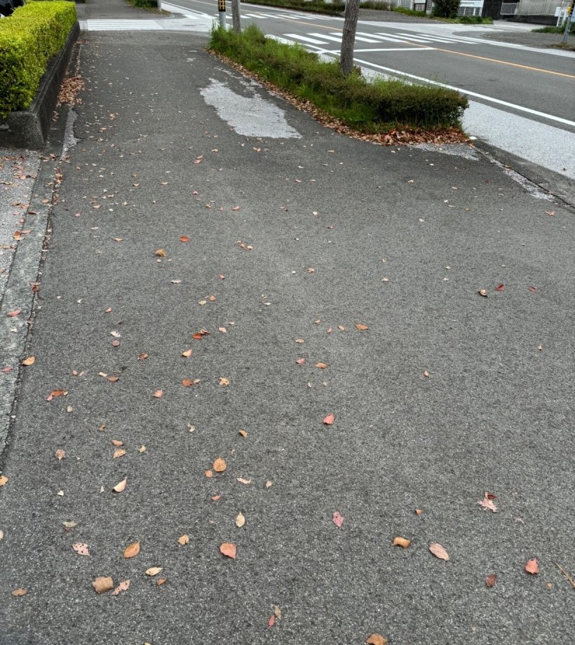 歩道と枯葉