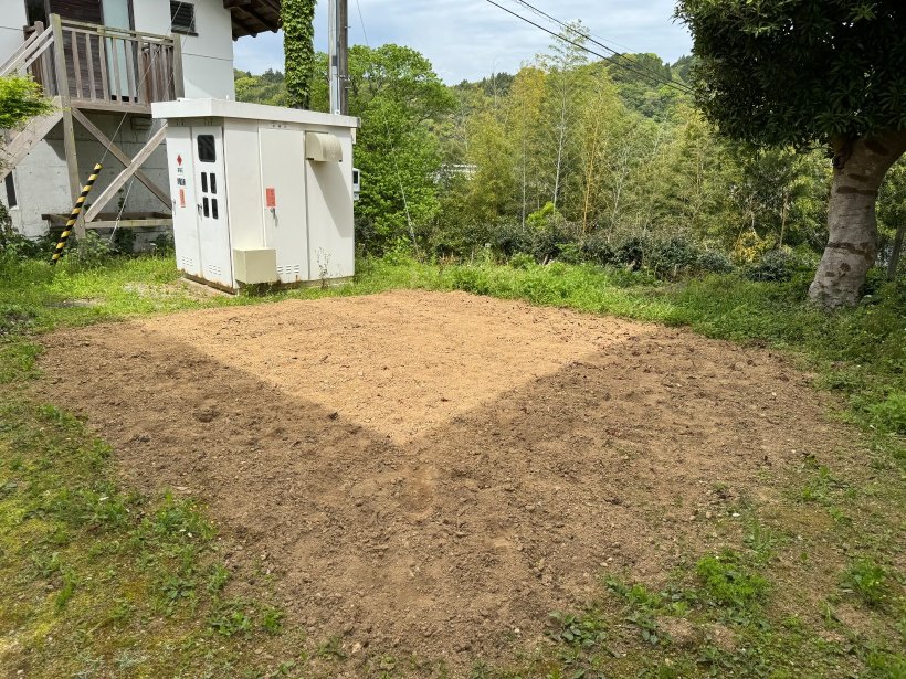 草を引いた芋畑