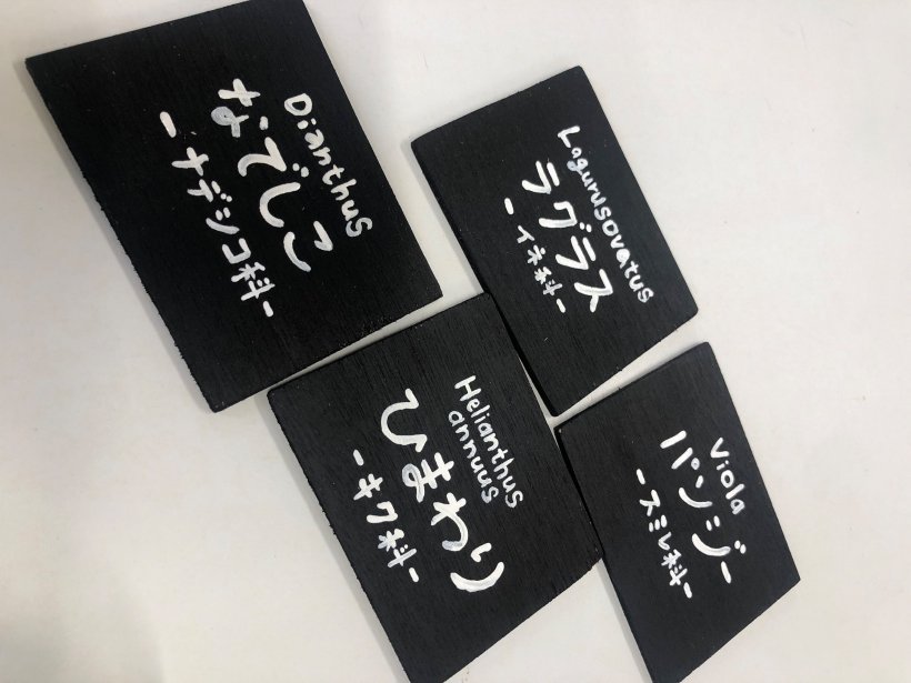 手作りの植物プレート