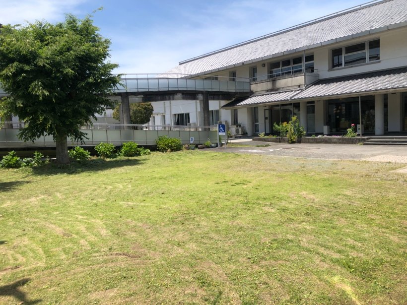 草を刈った芝生