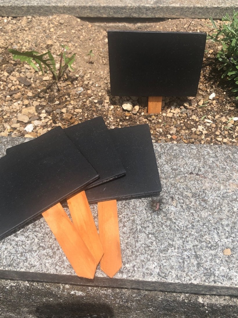 手作りの植物プレート