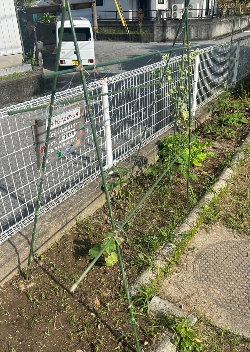 畑に支柱とネットがはっている