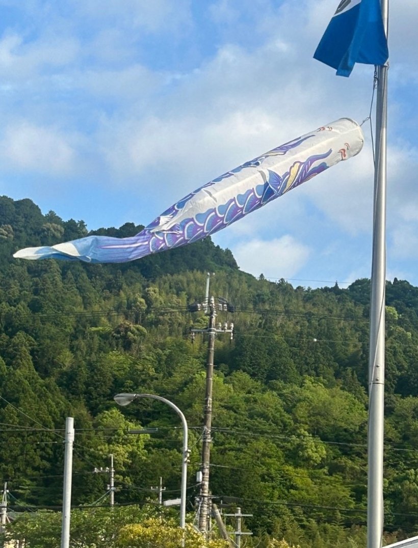 青の所旗と青こいのぼりがなびいている