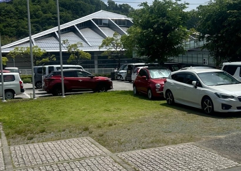 芝生に停めている車