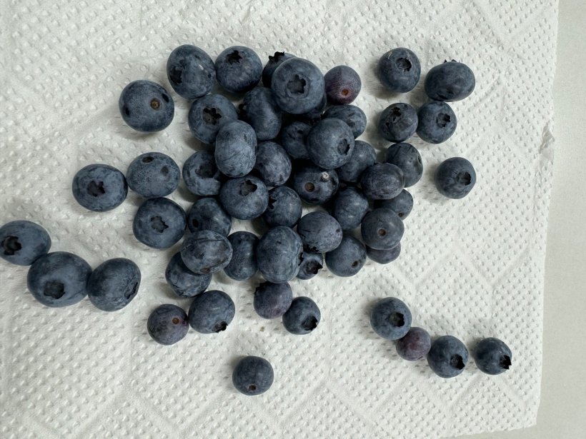 沢山のブルーベリーの実
