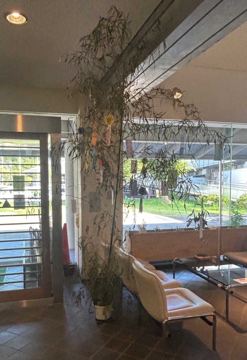 笹に短冊や飾りがついている