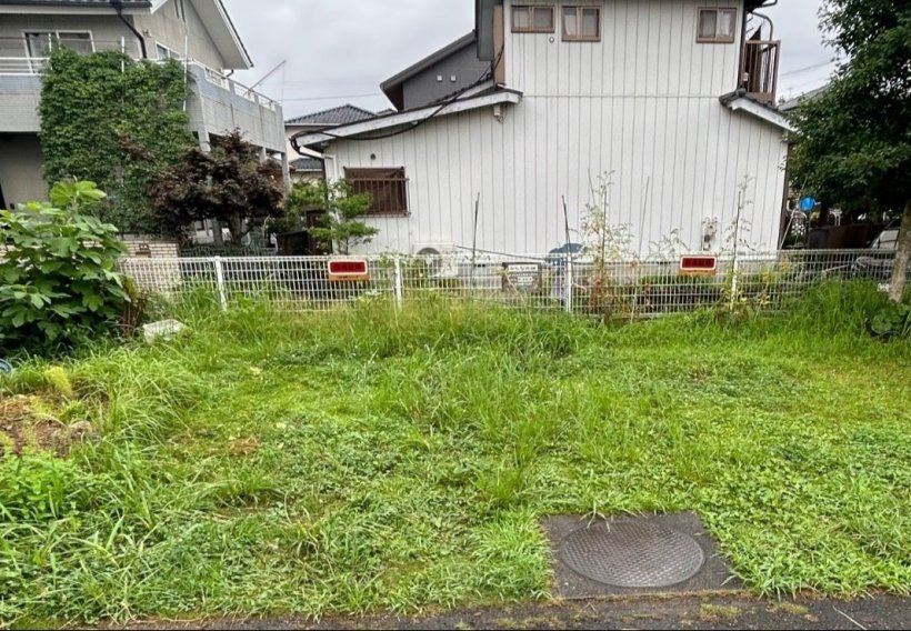 沢山草が生えている