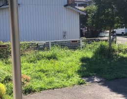 草刈り前の敷地②
