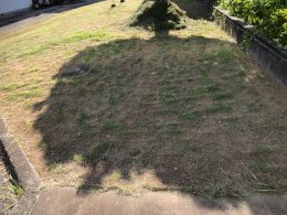 草刈りの終わった敷地③