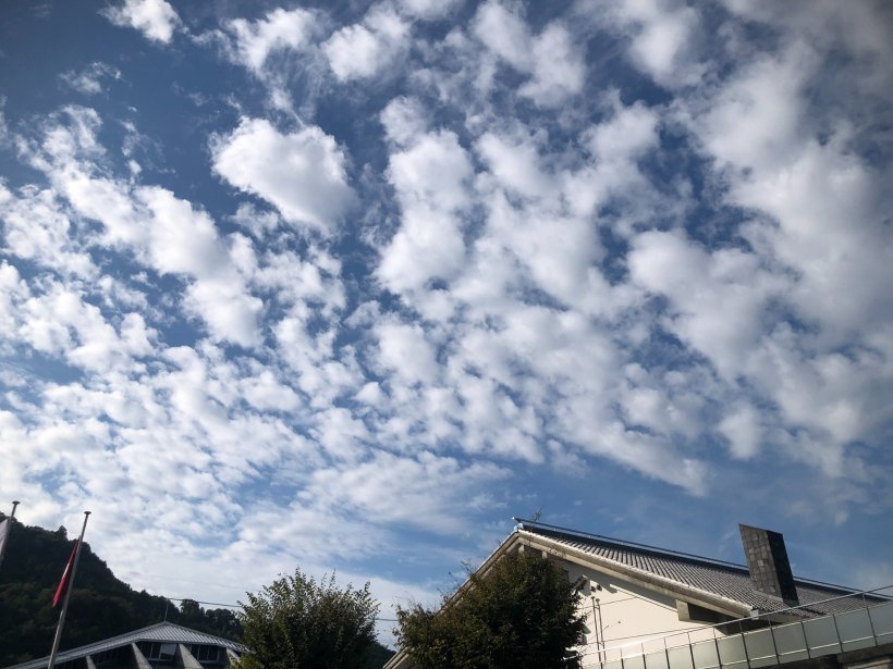 施設から見た高積雲