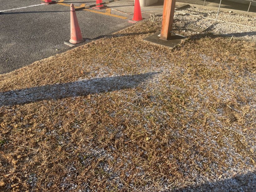 雪が太陽に反射してキラキラしている様子