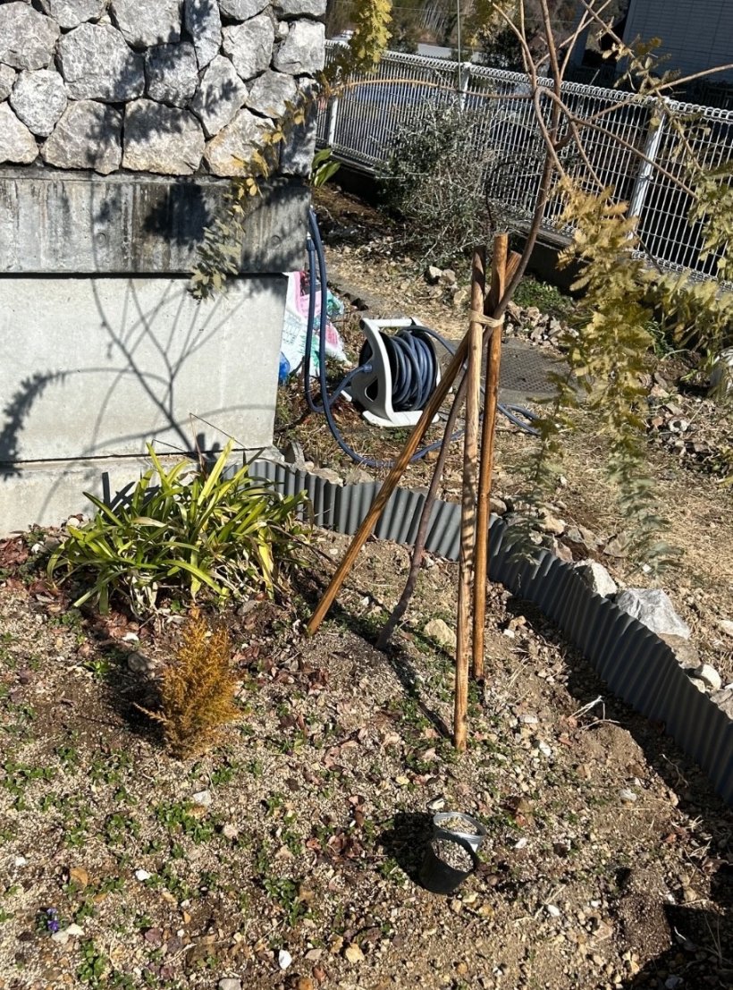 青少年の家の花壇