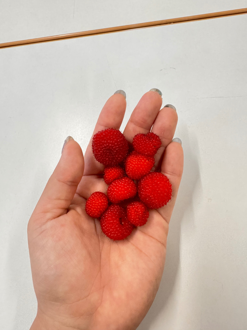 手に野いちごが乗っている