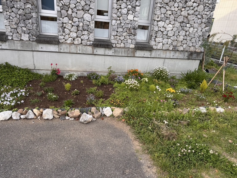 草引き前の花壇と駐車場