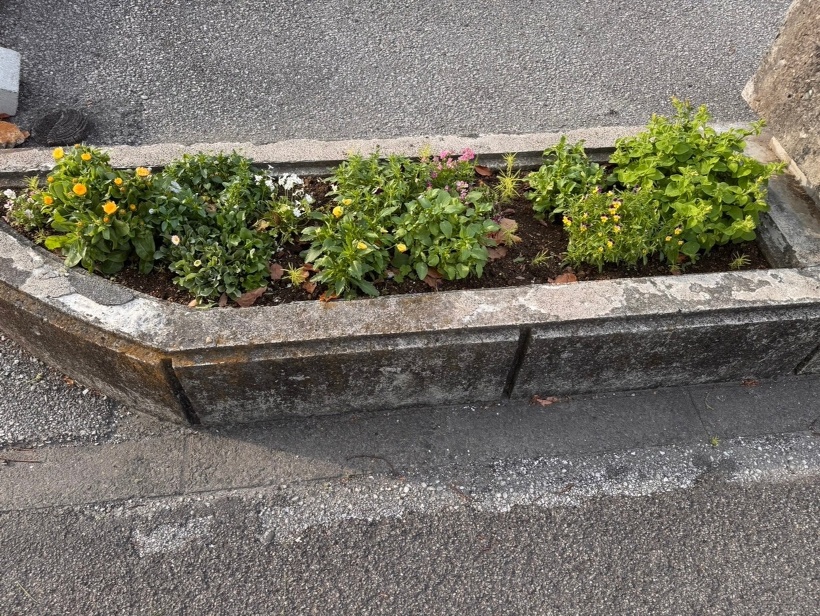 小さな花壇