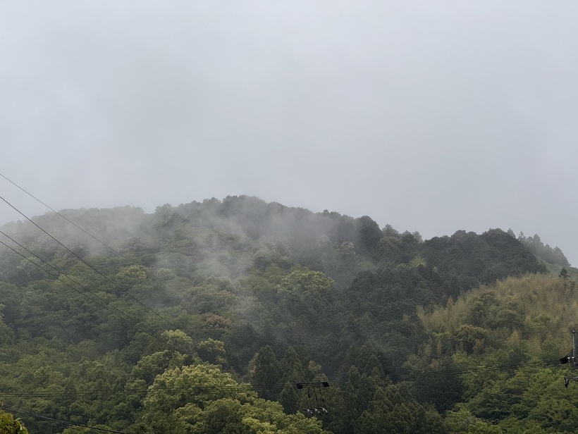 曇りの山の風景（霧がかかっている）