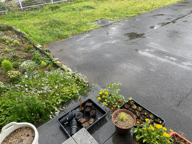 雨の降る駐車場と花壇