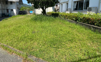 施設横の芝生