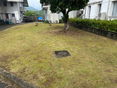 施設横の草刈り後の芝生
