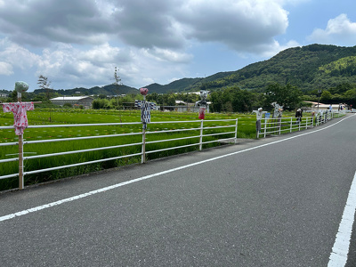 田んぼの周りに設置された様々なかかし