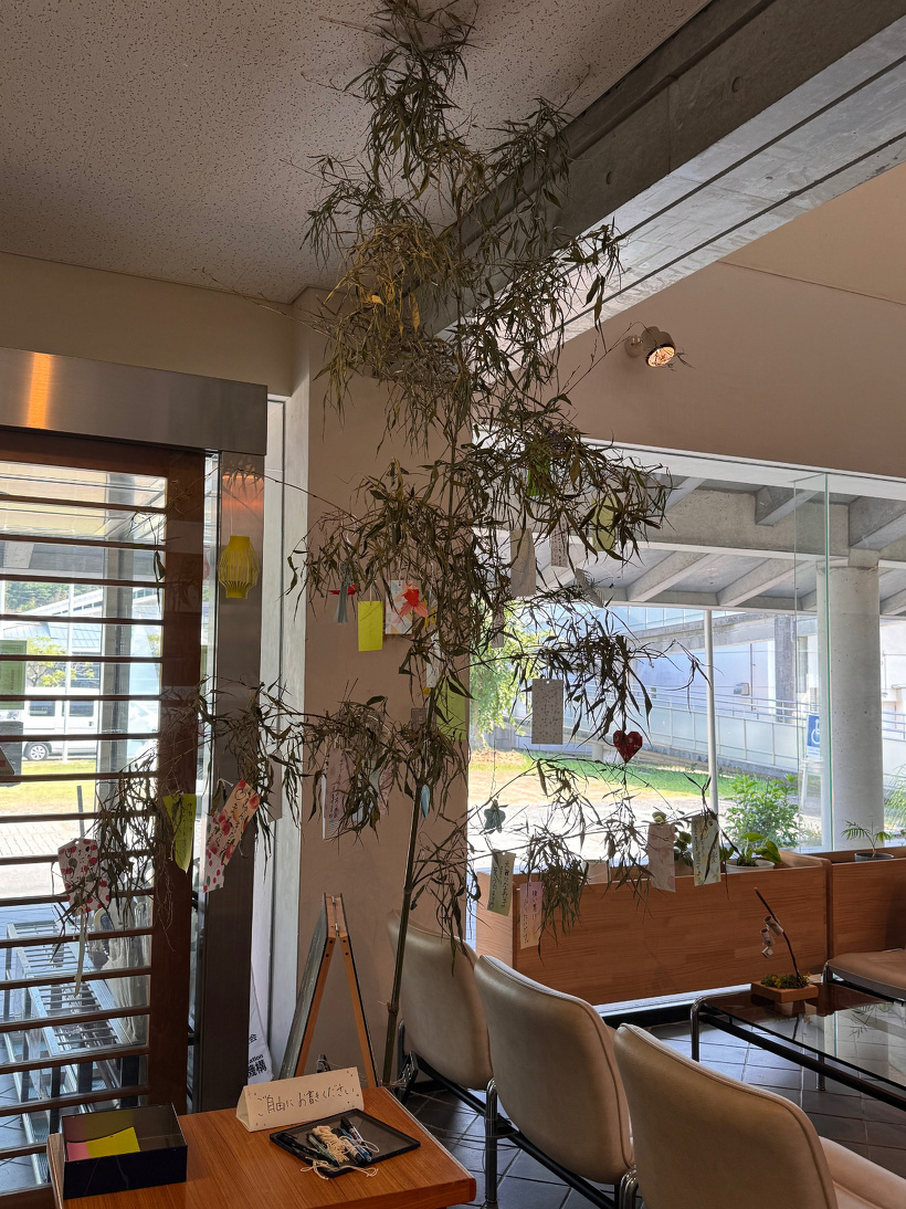 ロビーの七夕飾りや短冊が吊るされた竹