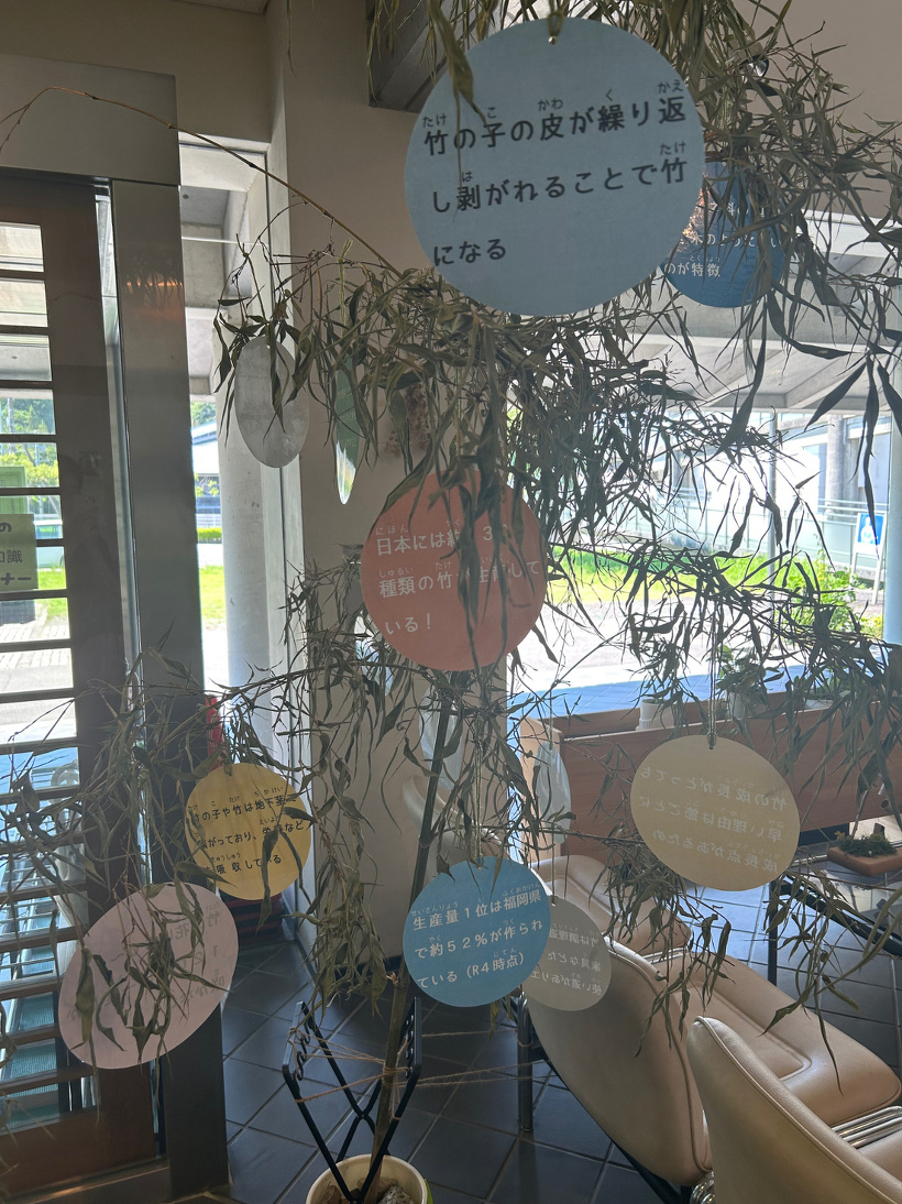 入り口付近に設置している竹。竹についての豆知識を吊り下げている。
