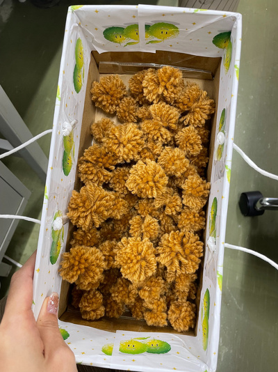 大きさの違うたくさんのポンポン