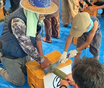 大人と一緒にのこぎりで竹を切る子ども