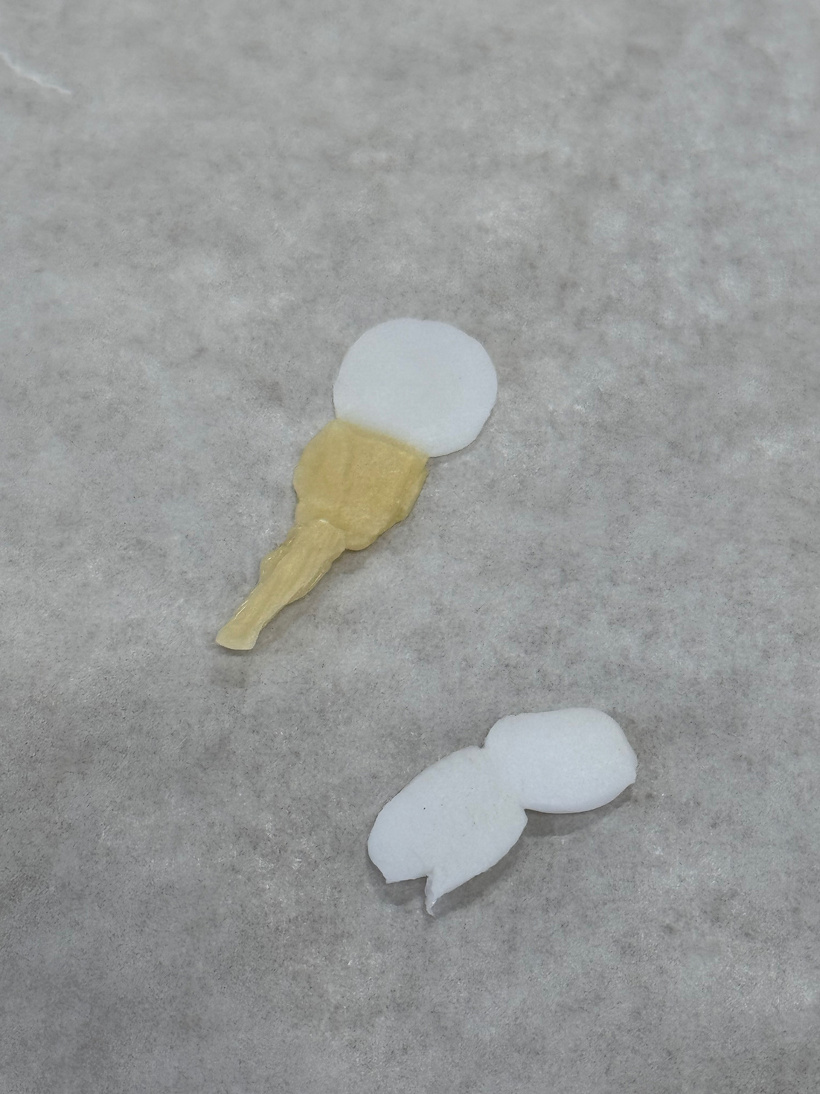 アイスのような溶けたふた