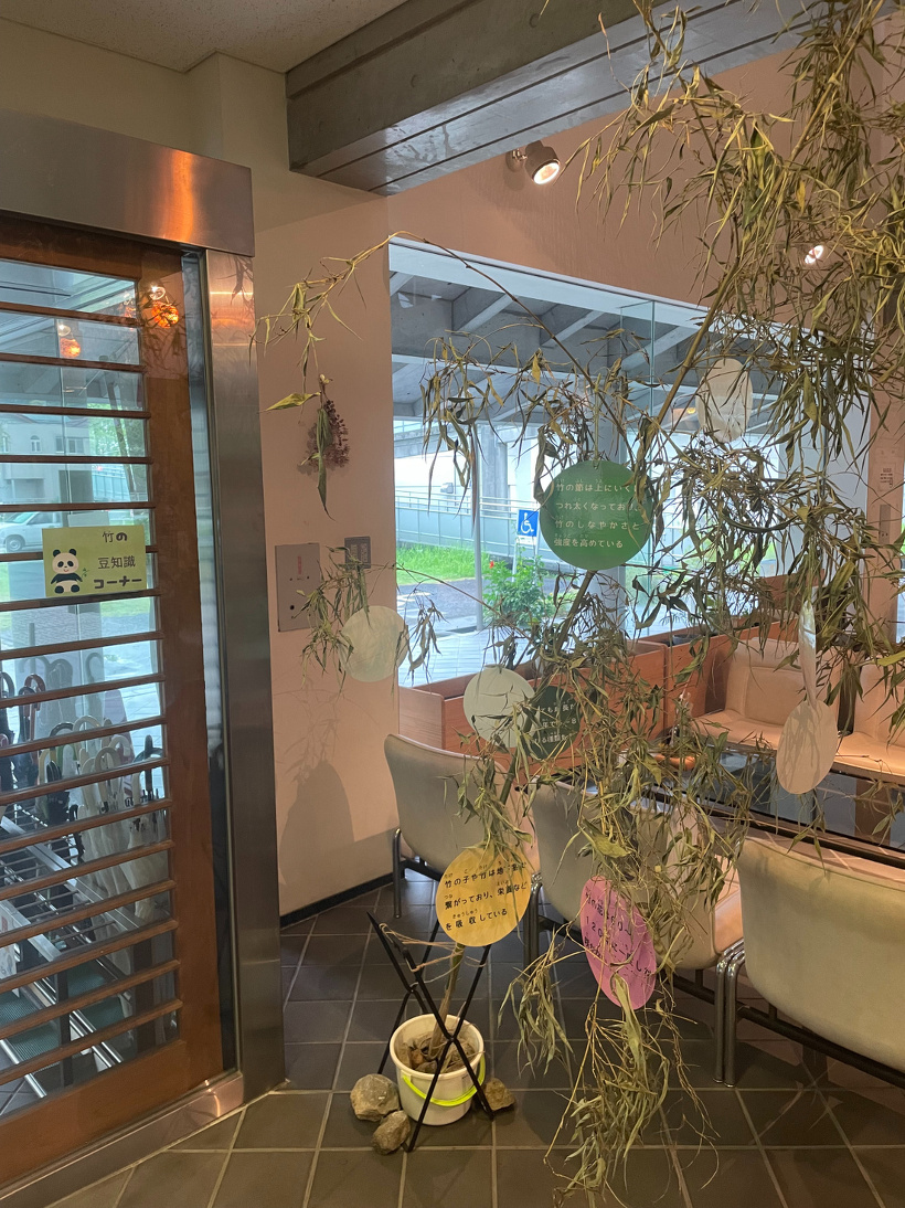 竹と竹の豆知識のラミネート