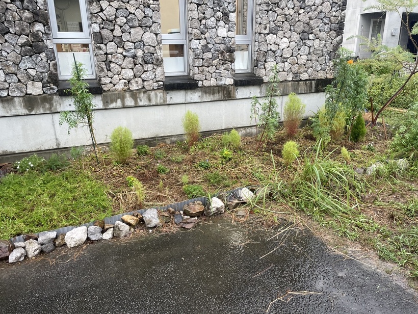 草引きをした後の花壇