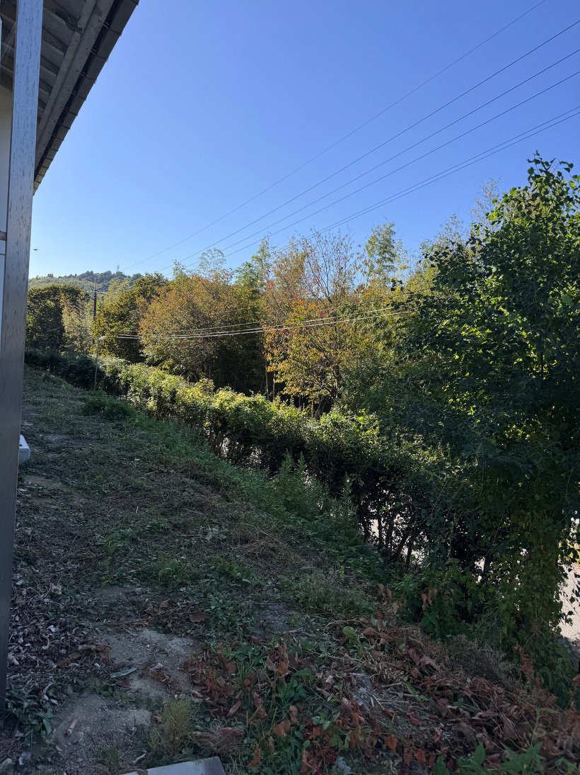 斜面の草を刈った後