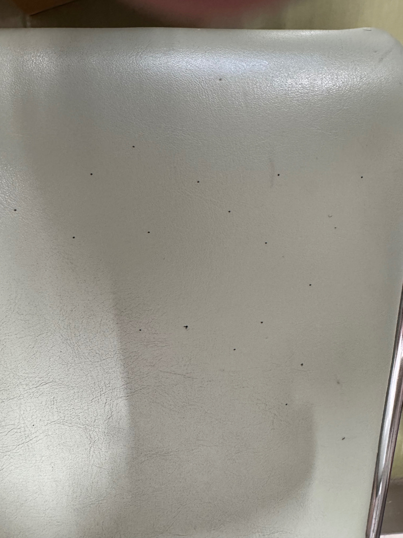 椅子に無数の穴があいている