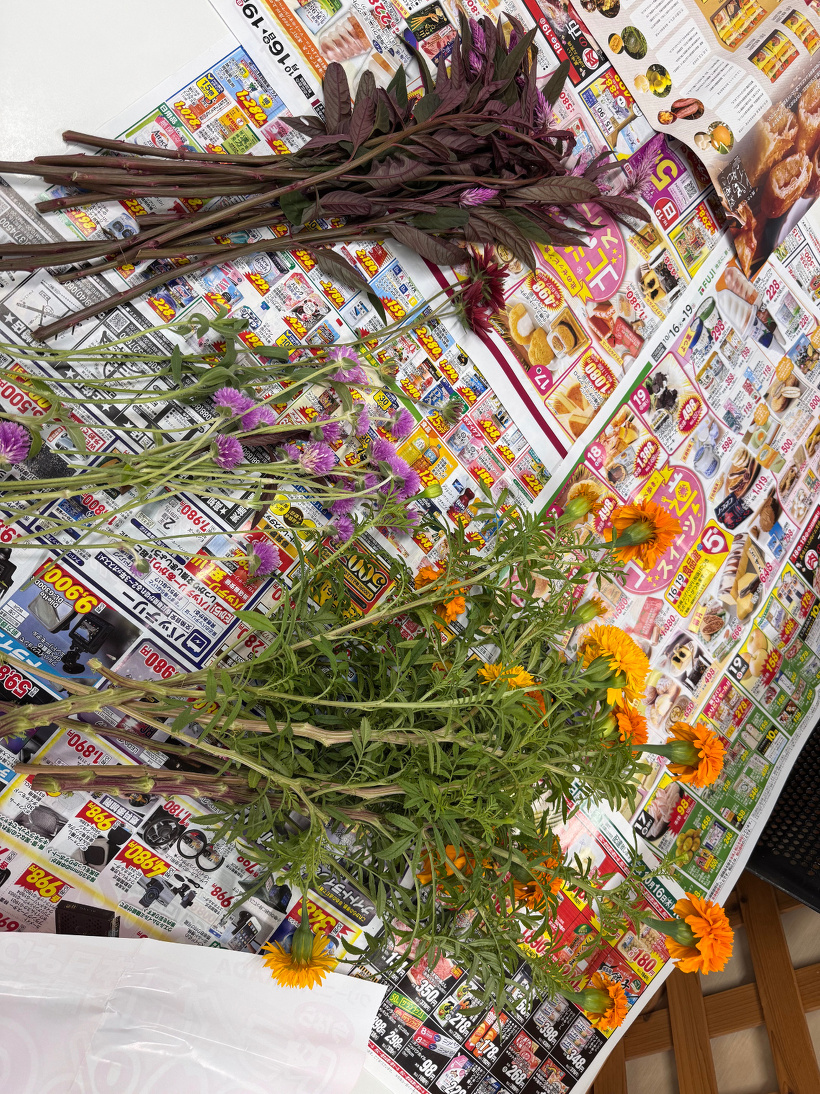 チラシの上に花を置いている