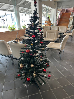 オーナメントで装飾した緑のクリスマスツリー