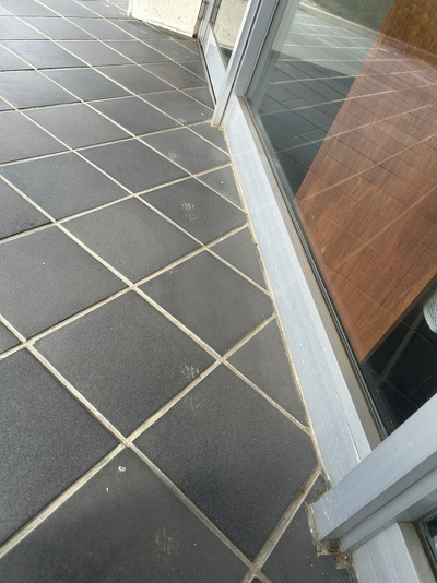 タイルの上についた動物の足跡