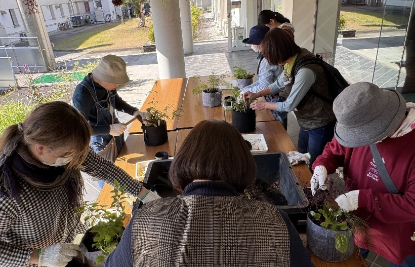 机でハーブを植えている